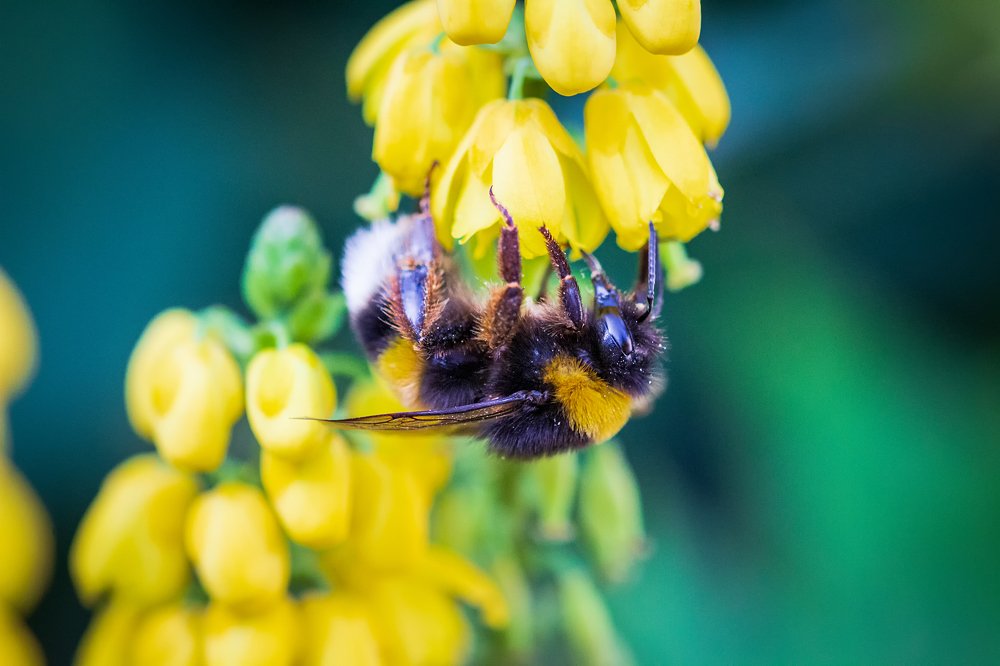 Photograph by Laura García
