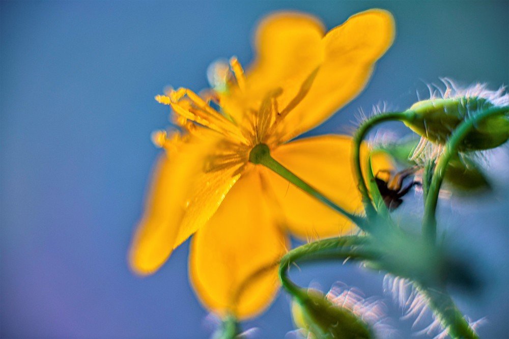 Photograph by Алексей Сиваков