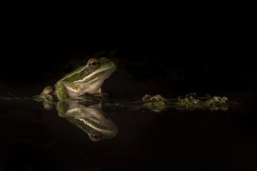 Photograph by Esteban Argerich