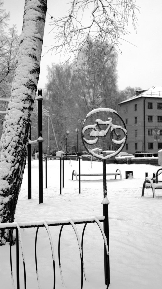 Всё здесь замерло до весны