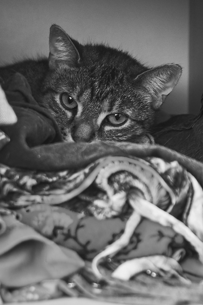 Photograph by Petr Černohorský