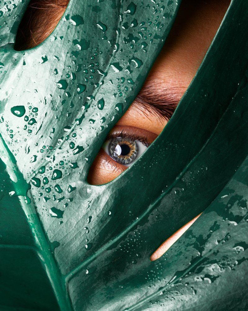 Photograph by Sahand Sane