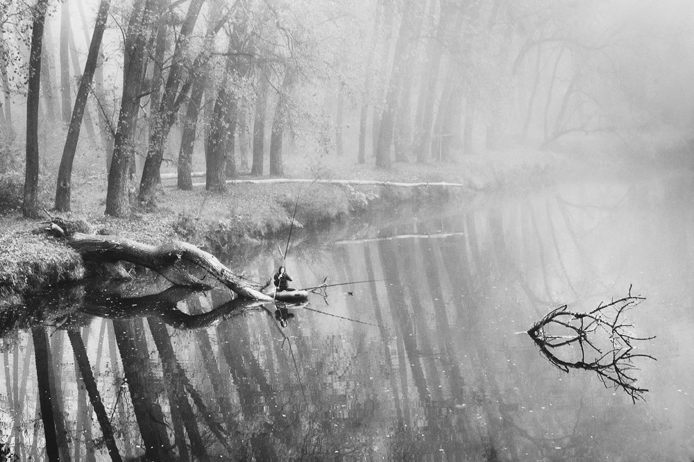 Photograph by Виталий Тимофеев