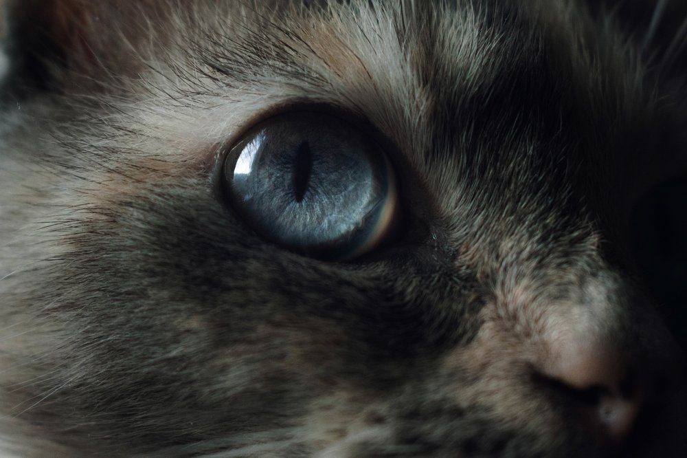 Photograph by Татьяна Носкович