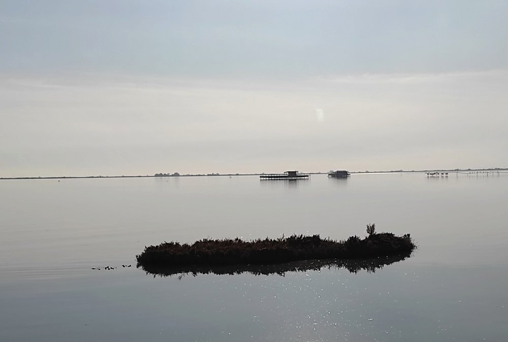 Photograph by Dimitris Tzovaras