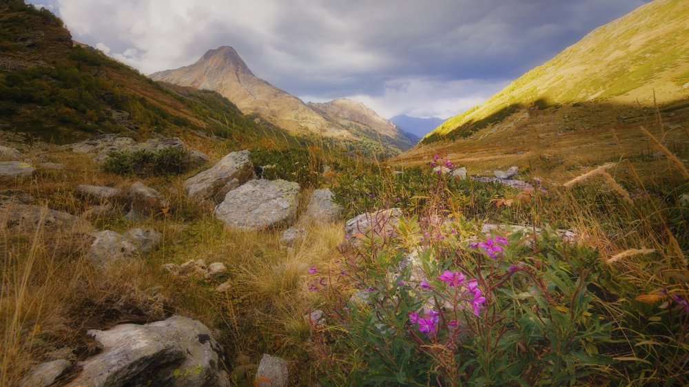 Photograph by ОЛЬГА КОВАЛЁВА