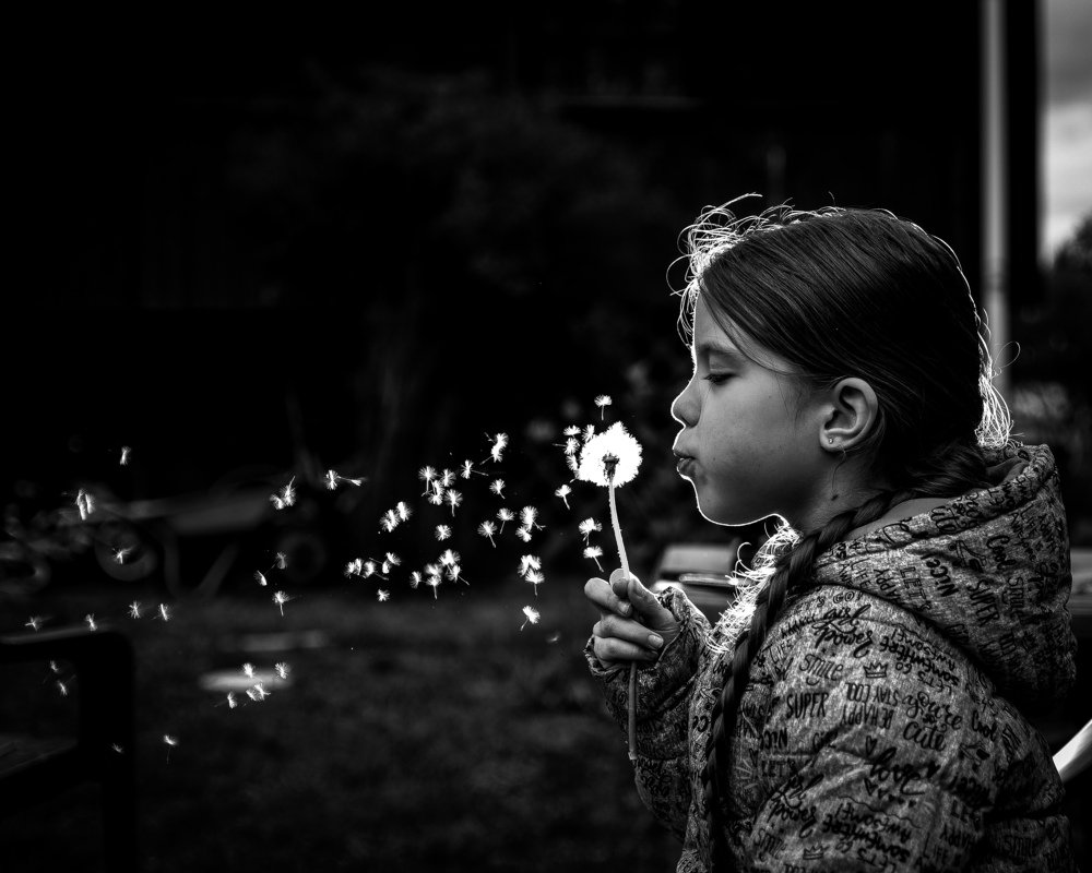 Photograph by Владимир Моисеев