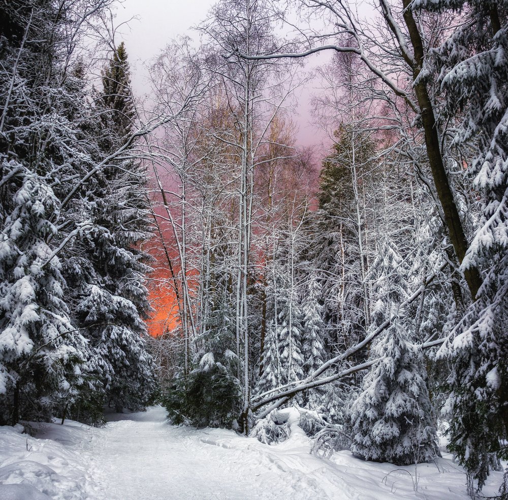 Photograph by Александр Парамонов