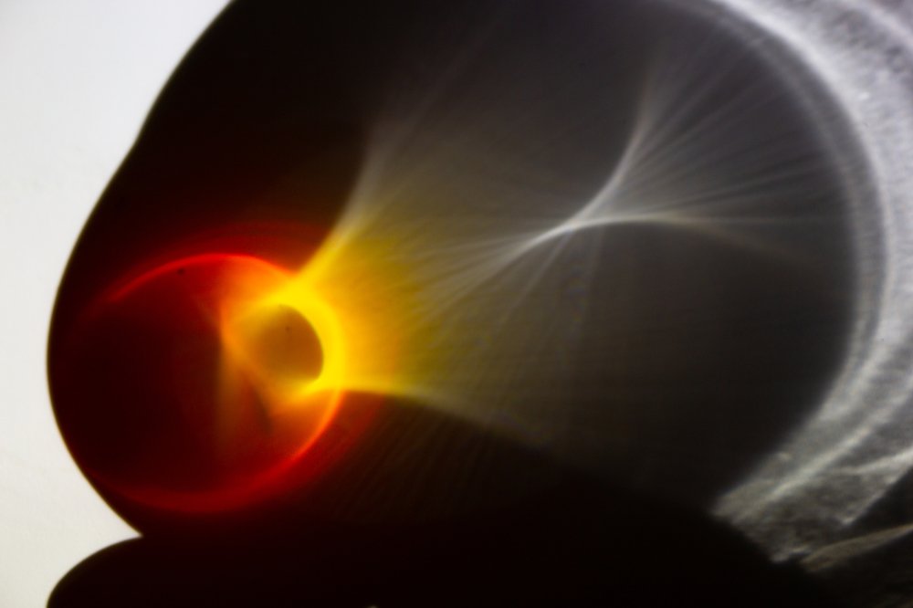 Photograph by Александр Парамонов