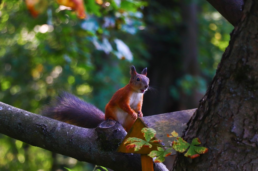 Photograph by Mirika_ph