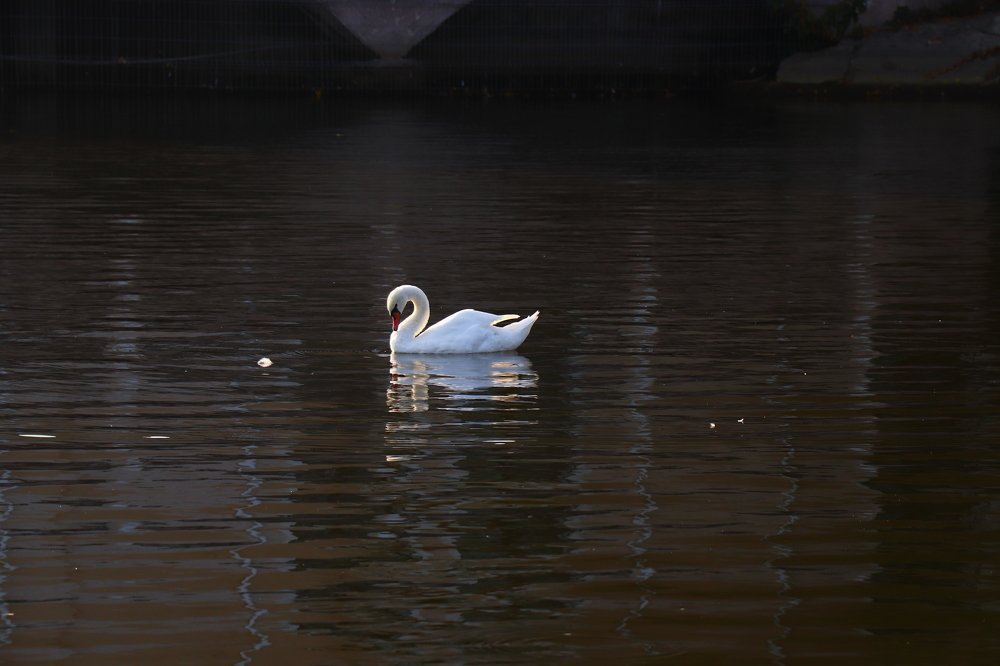 Photograph by Mirika_ph