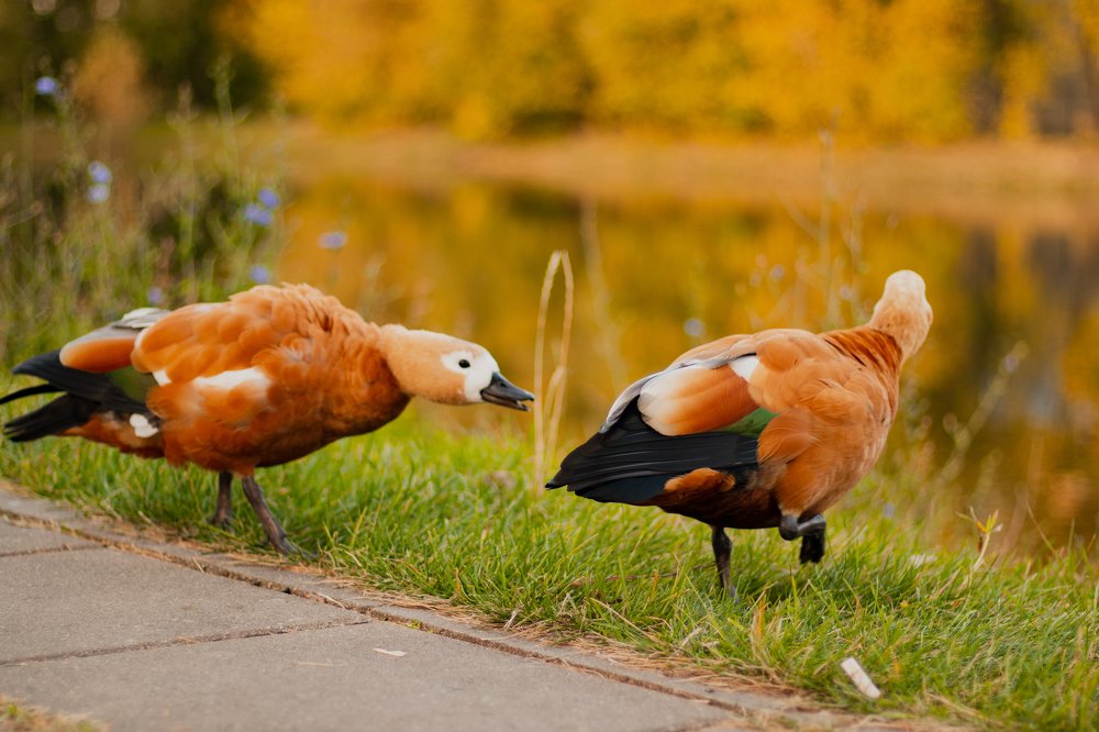 Photograph by Mirika_ph