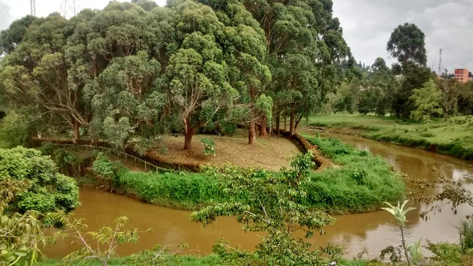 RESERVA NATURAL RIONEGRO, ANTIOQUIA, COLOMBIA