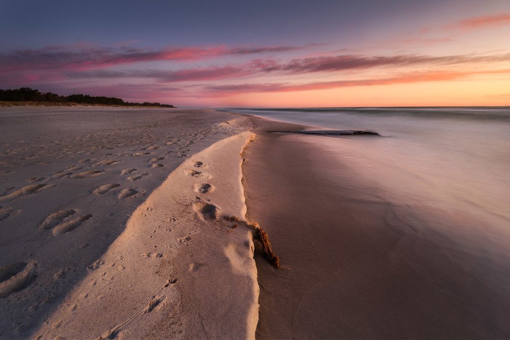 Photograph by Patryk Janota