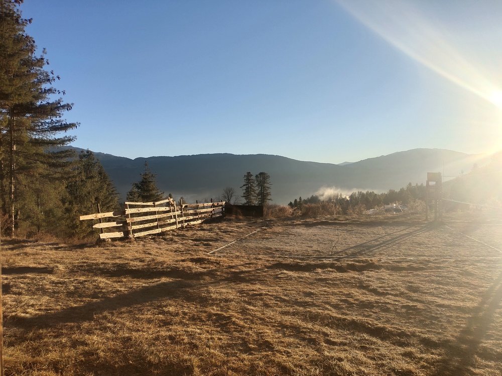 Photo #5456527