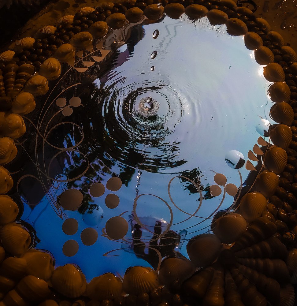 Photograph by Pallavi Singh