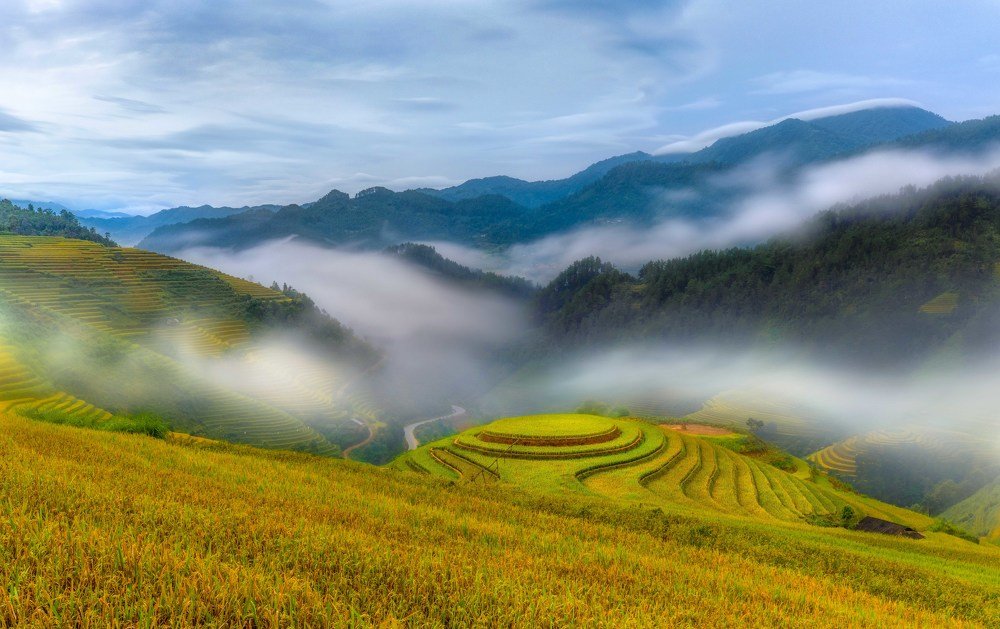 Early morning on the terraced rice field.