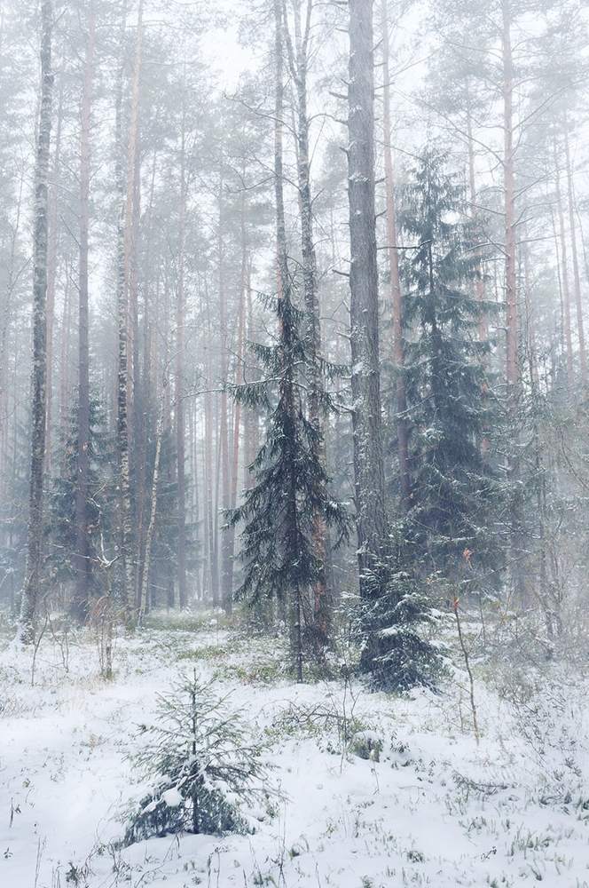 Метель.