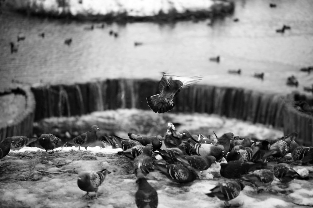 Photograph by Константин Лагоденко