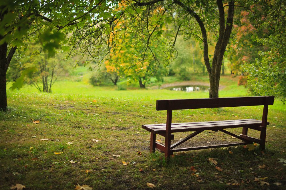 18 сентября 2020 г., в парке в с. Болдино