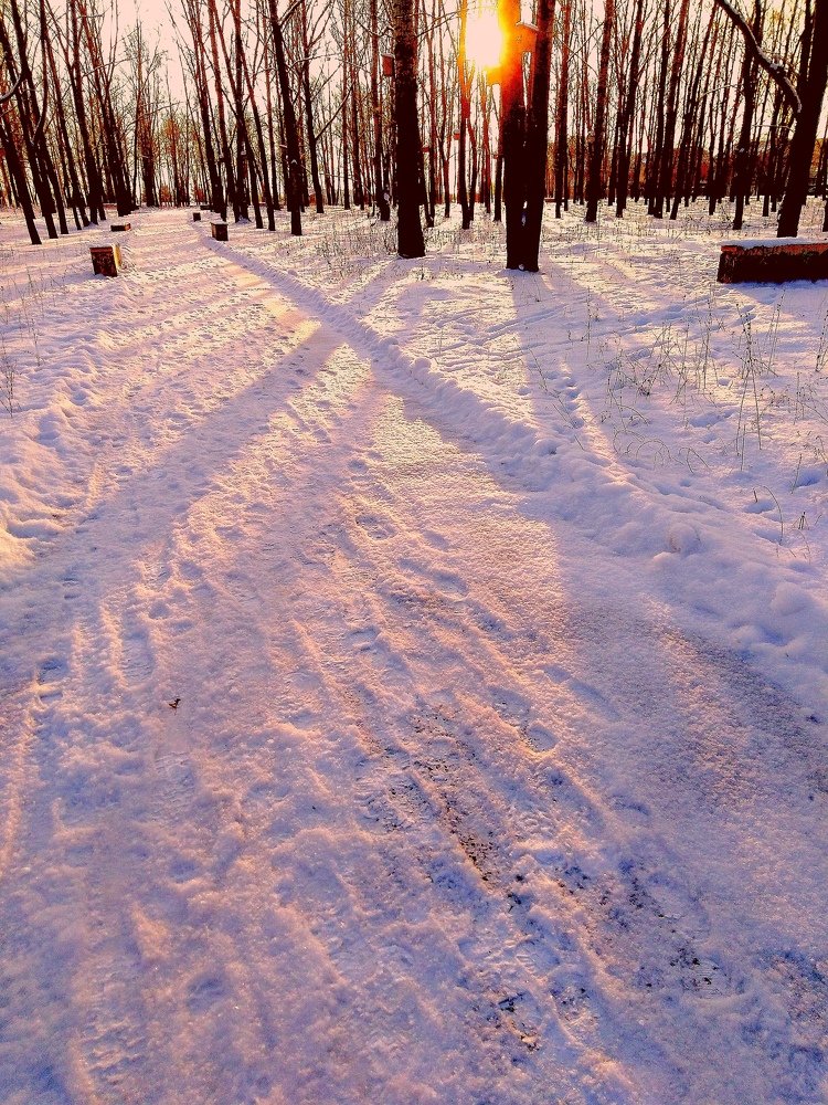 Photograph by Денис Геранькин