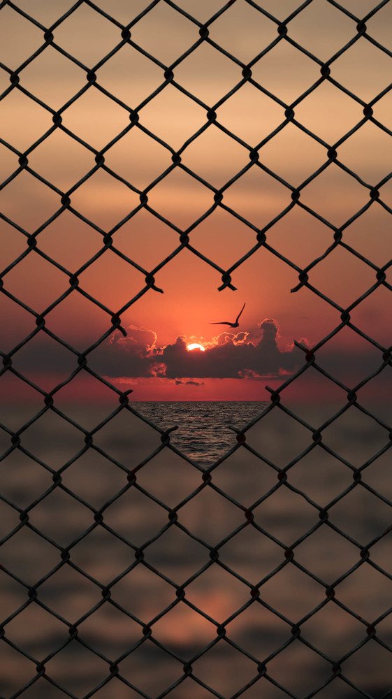 Photograph by Саша Колода