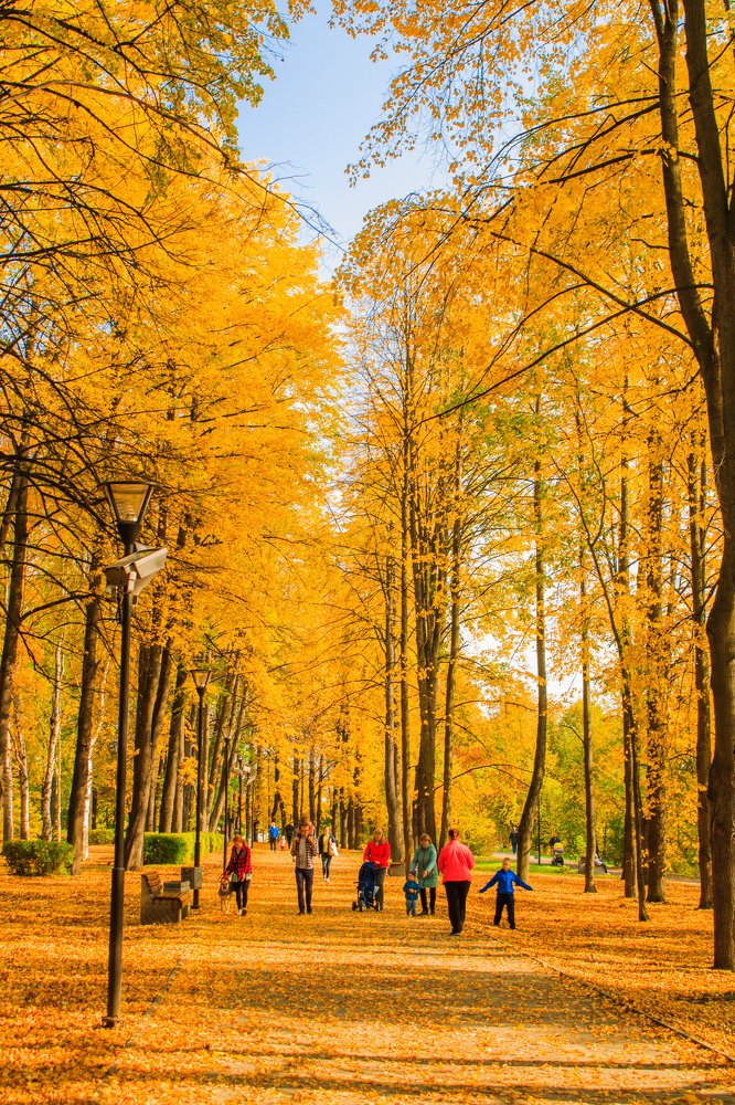 Золотая осень