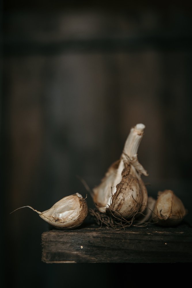 Photograph by Владимир Моисеев
