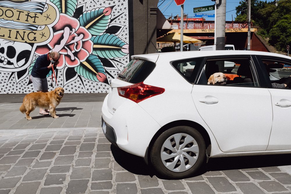 Photograph by Brandon Kim