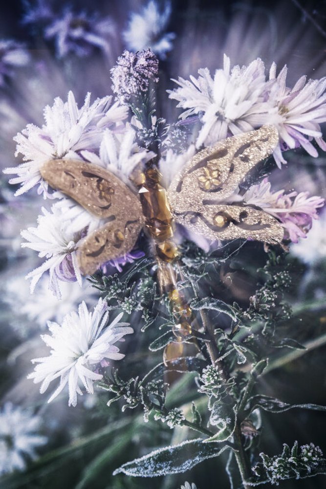 Photograph by Екатерина Рябинина