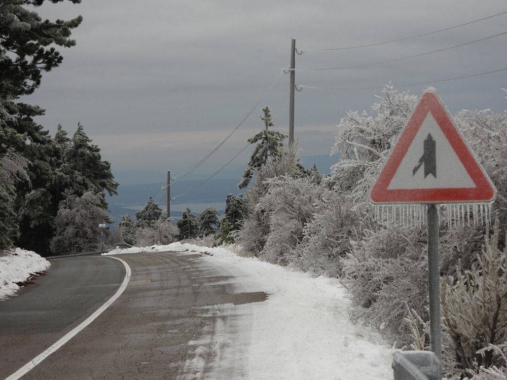 Photograph by Davorin Jurković