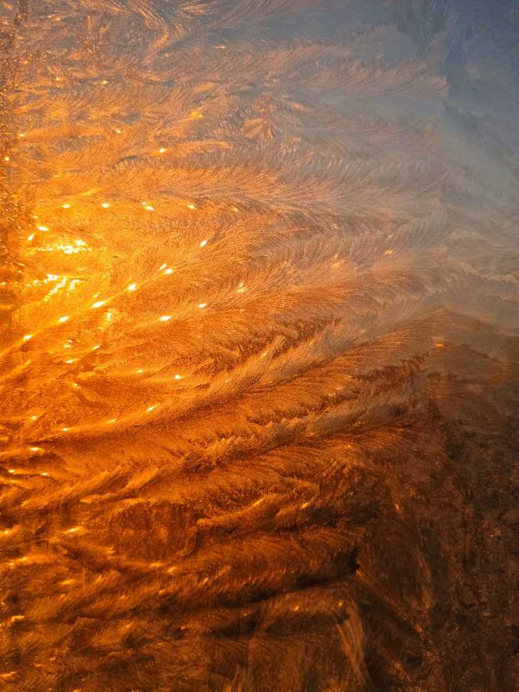 Photograph by Оксана