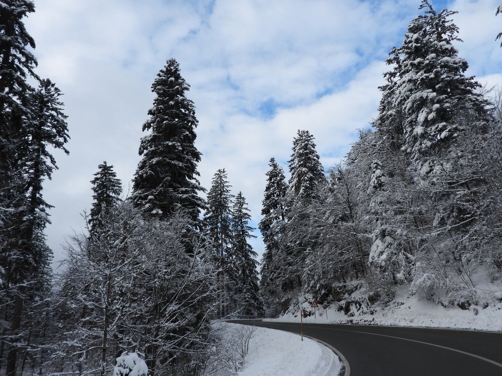 Photograph by Davorin Jurković