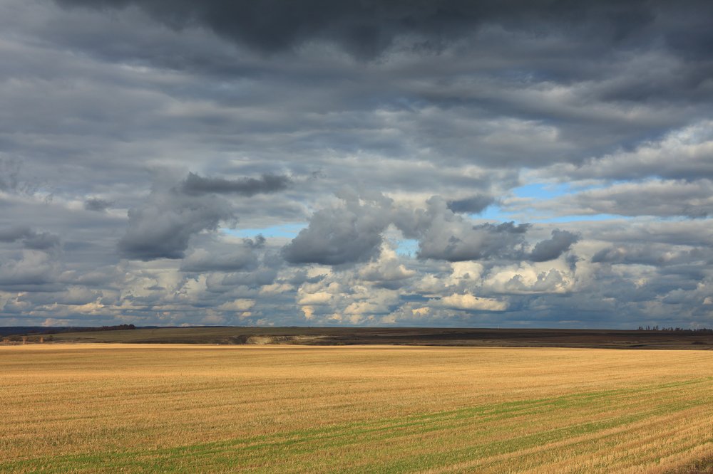 Фотография автора Александр Еремин