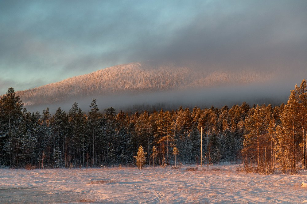 Photograph by Виталий Лангуев