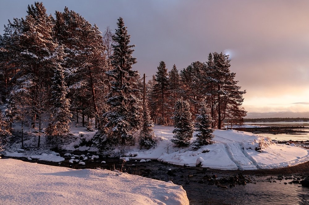 Photograph by Виталий Лангуев