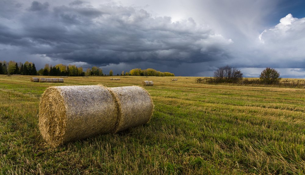 Осенний этюд