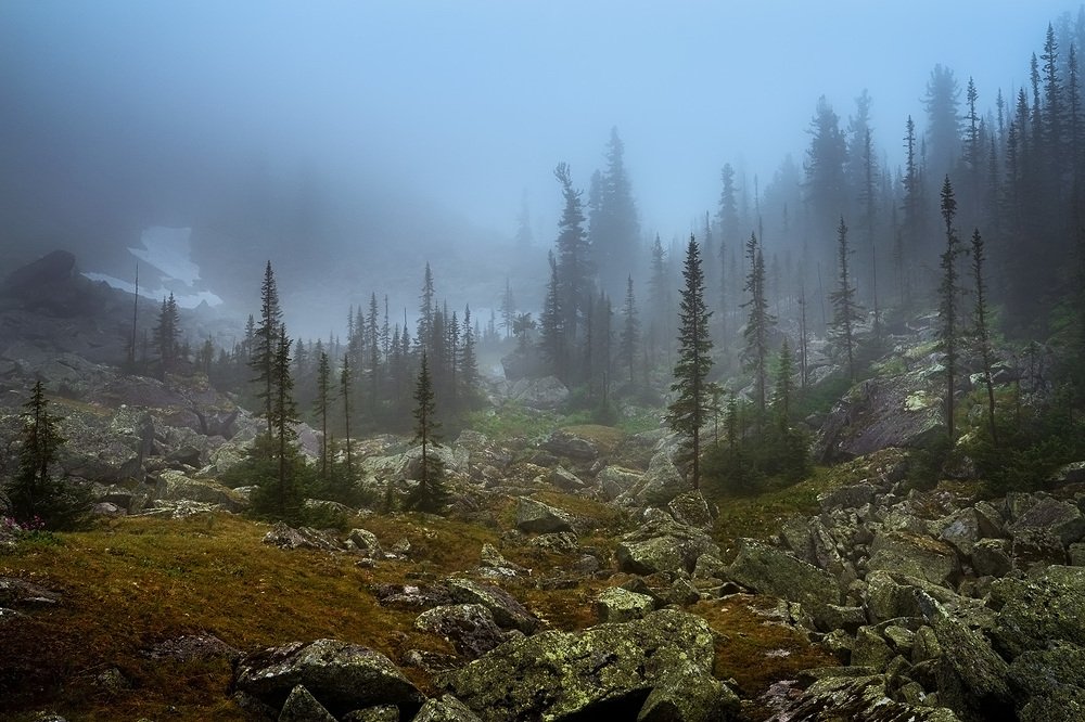 Photograph by Сергей Межин