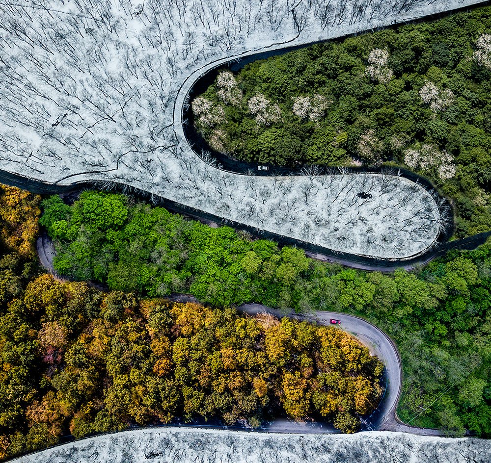 Photograph by Ovi D Pop