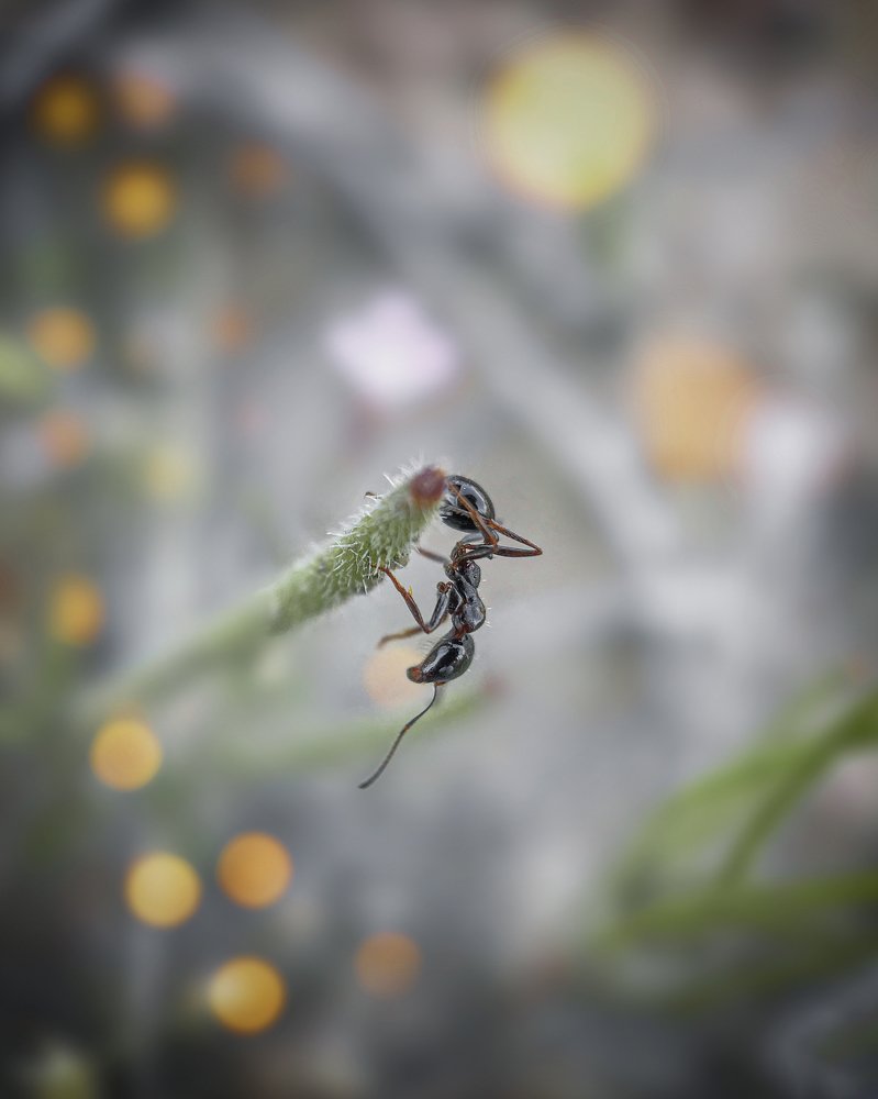 Photograph by Saeed Sadeghi