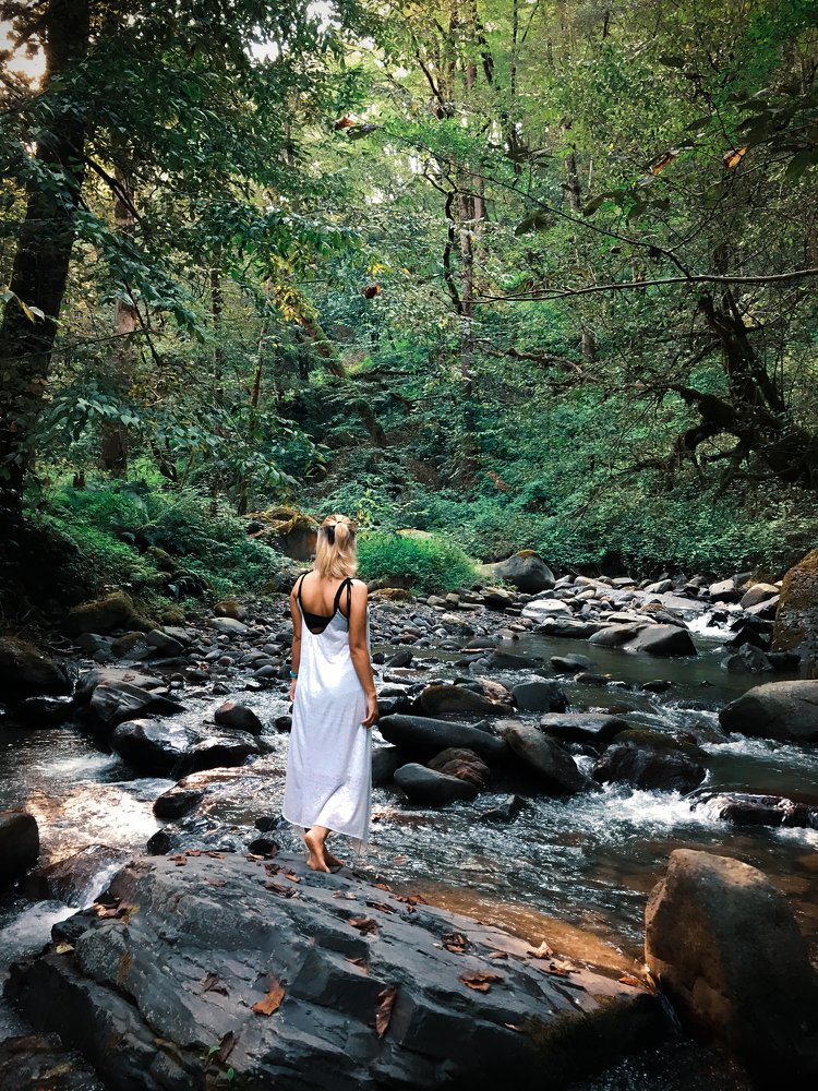 Photograph by Saeed Sadeghi