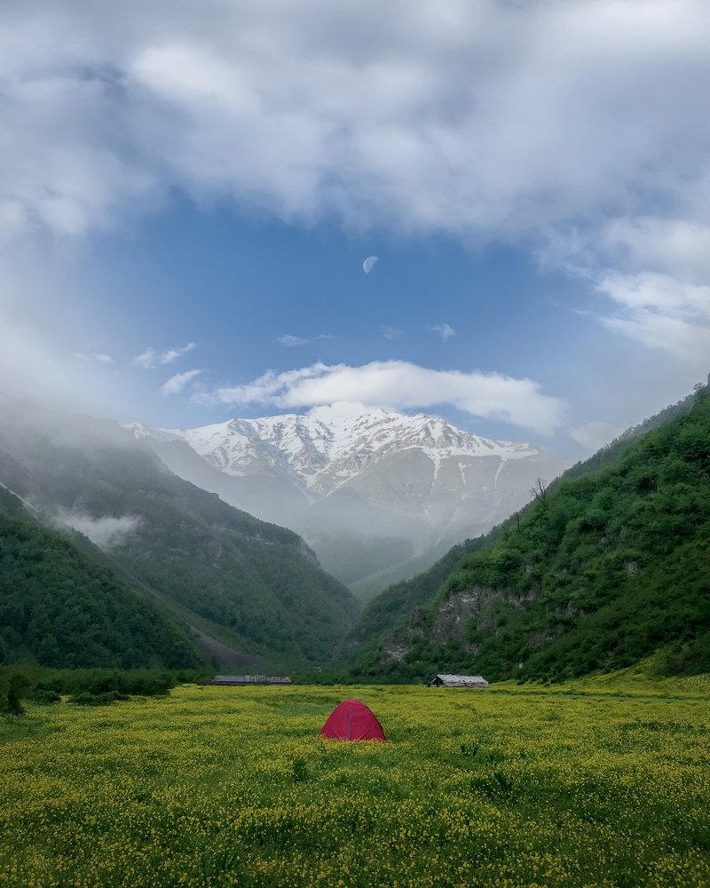 Photograph by Saeed Sadeghi