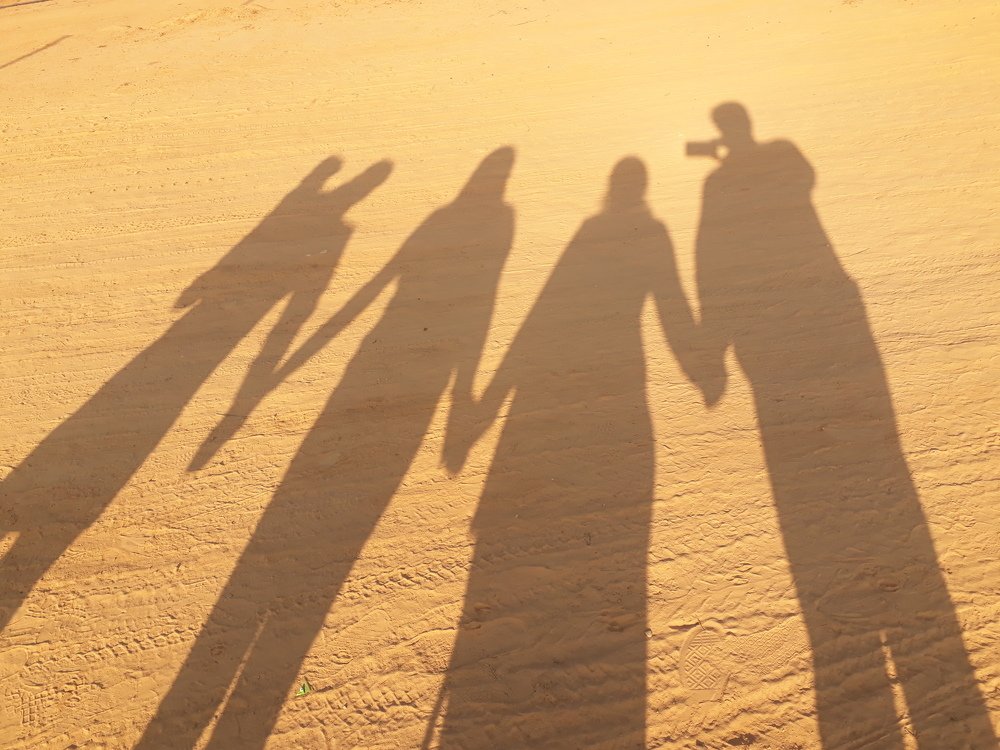 shadows