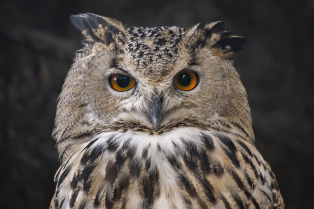 Photograph by Lucia Urblikova