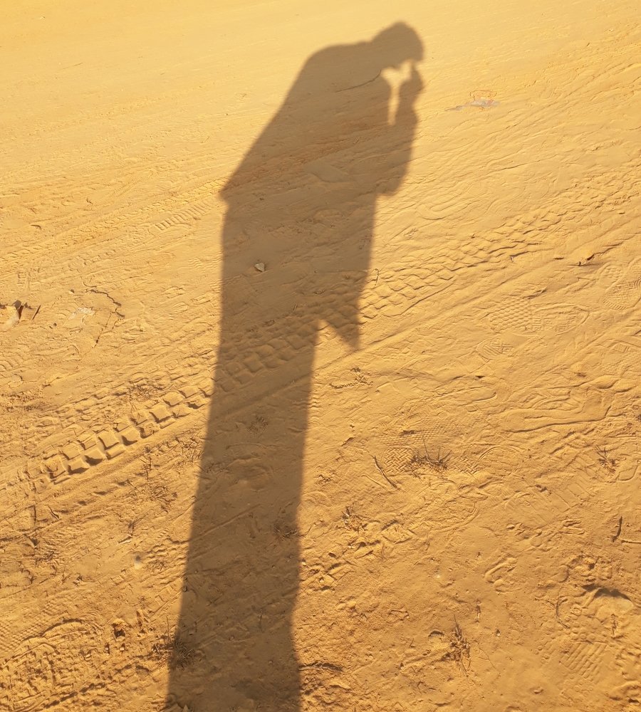 Photo #5457514