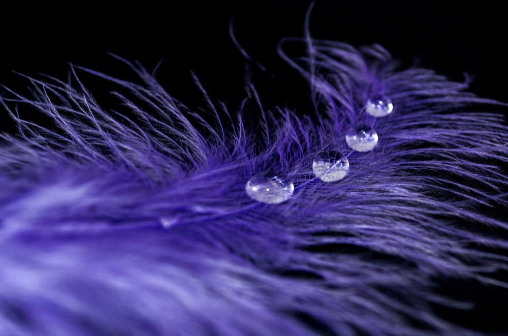 Photograph by Lucia Urblikova