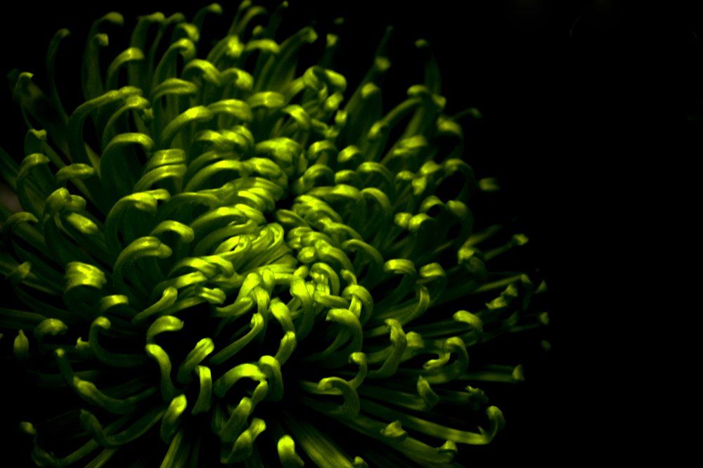 Photograph by Lucia Urblikova