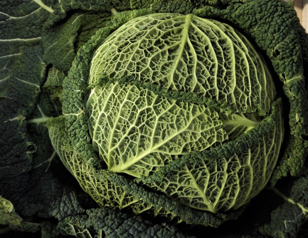 Photograph by Patrycja