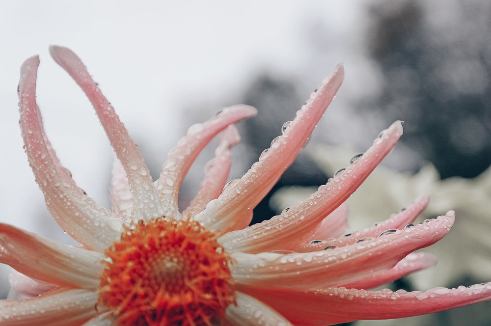 Photograph by Ольга Ситникова