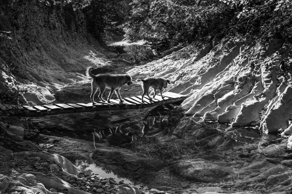 Photograph by Олег Башкуров